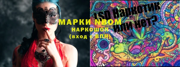 a pvp Новозыбков