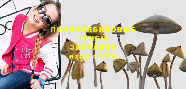a pvp Новозыбков